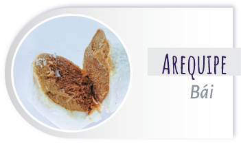 Mochi Arequipe